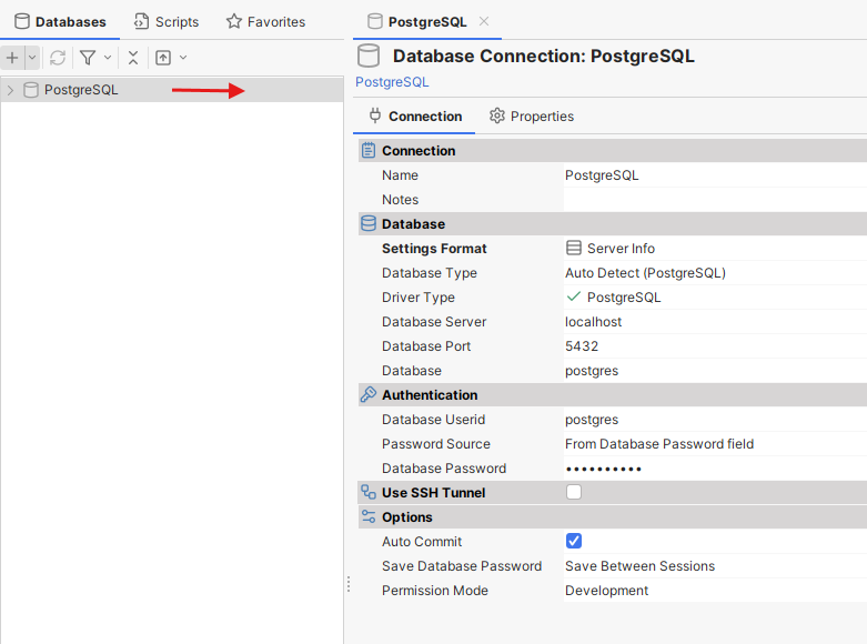 DbVisualizer connect