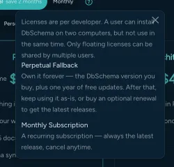 DbSchema purchase-page licence terms popover stating that licences are per developer and that only floating licences can be shared by multiple users