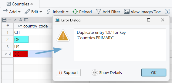 Primary Key Duplicate