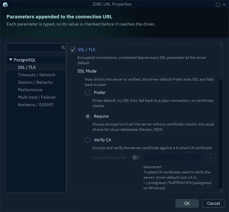 The JDBC URL Properties dialog with the SSL / TLS group ticked and SSL Mode set to Require