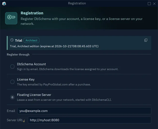 The Registration dialog with Floating License Server chosen, the email you@example.com and the Server URL http://myhost:8080