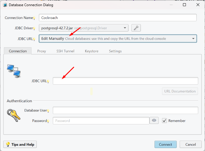 DbSchema Connection Dialog