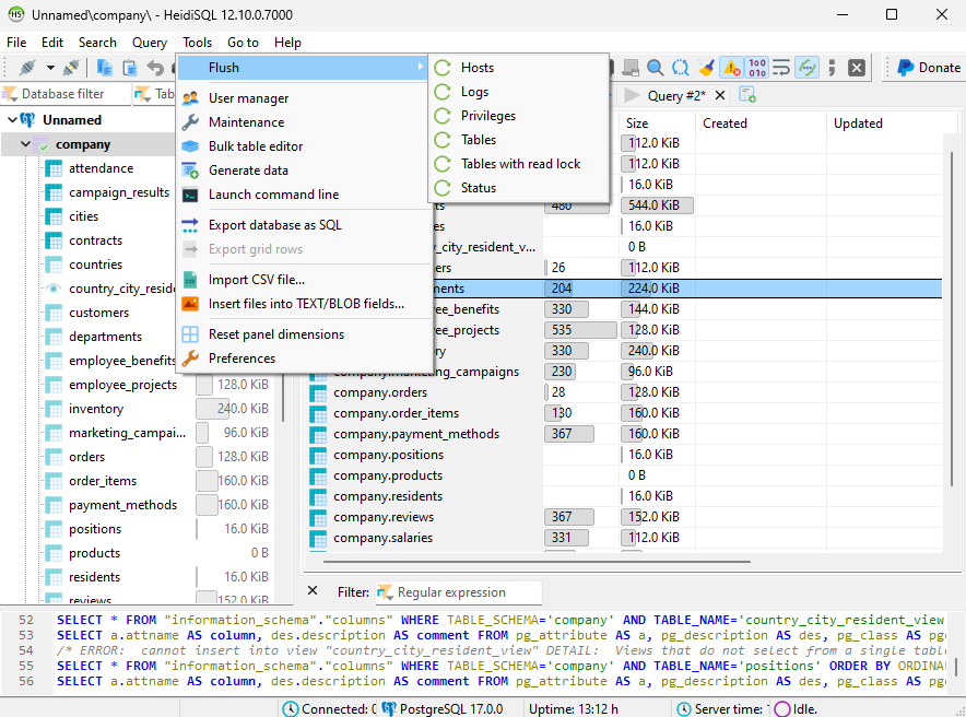 HeidiSQL Main Interface