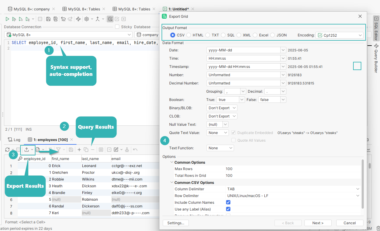 DbVisualizer Data Export