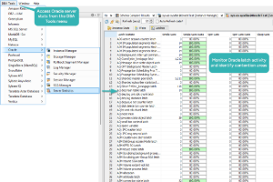 Aqua Data Studio server statistics and latch activity view